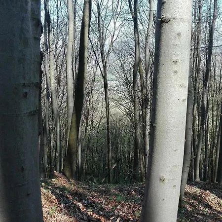 Apartmán Bakonyi Mandala Haz *